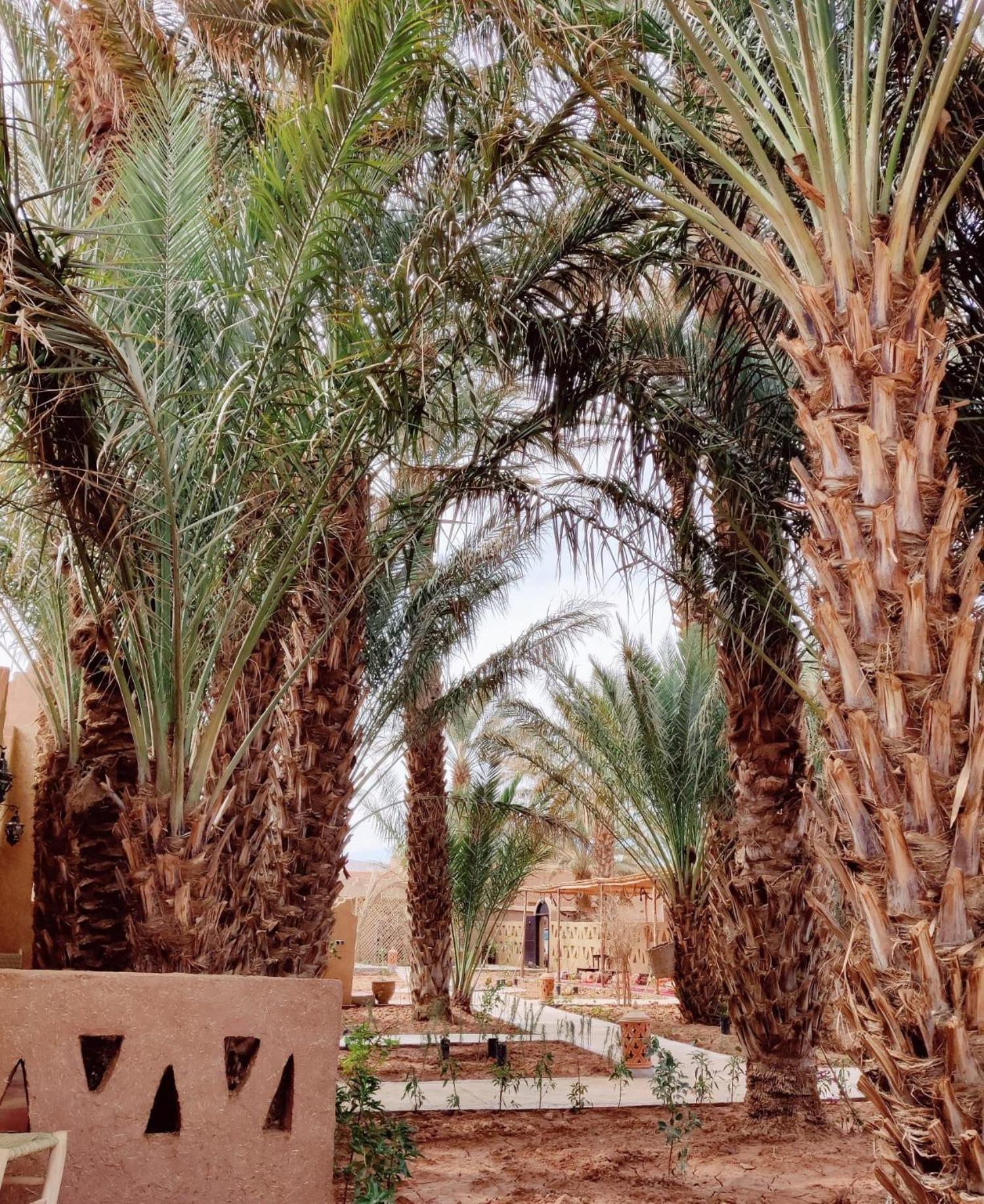 Zagora Oasis Lodge Exterior foto
